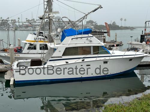 Bertram 38 Convertible  technische daten 